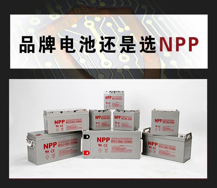 耐普蓄电池NPG12-100铅酸免维护 耐普蓄电池12V100AH厂家直销示例图10