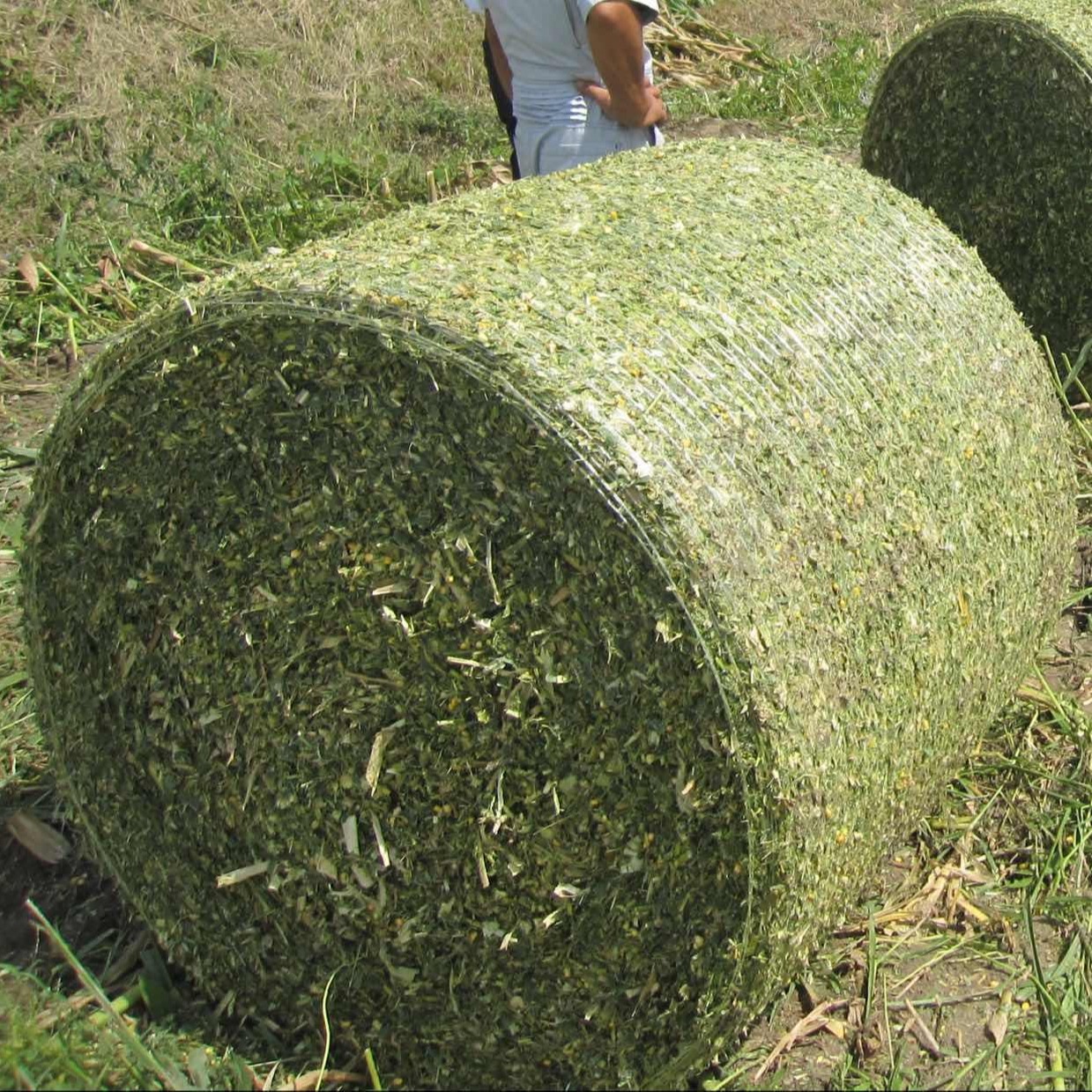 自产自销多种尺寸捆草网 PE牧草网 畅达通玉米秸秆裹包网 秸秆打包网