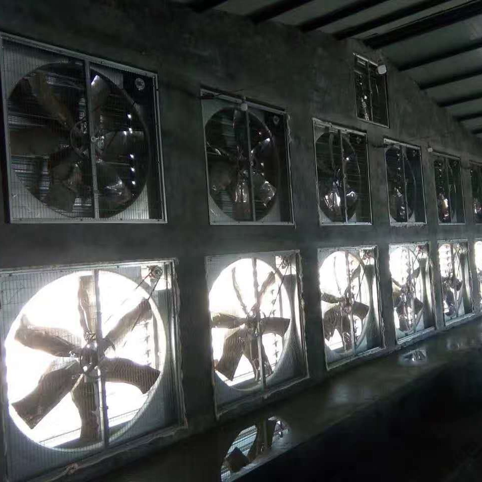 世昌畜牧 猪场降温设备 排风机厂家 1380型负压风机 养猪设备风机图片