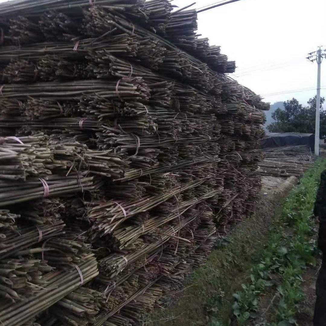 竹子产地大量批发各种规格农用2.2米菜架竿 3米菜架竿