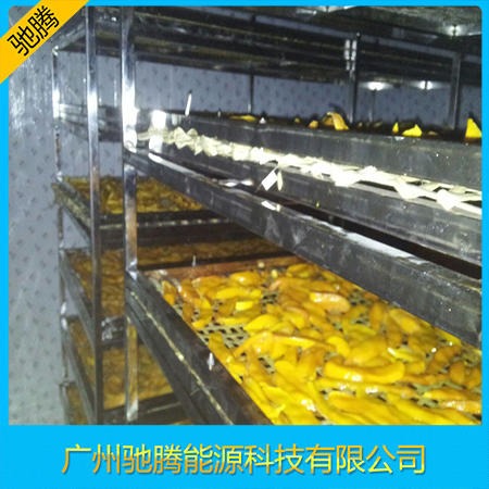 芒果烘干机 节能型芒果烘干机 越南芒果烘干机客户案例分享