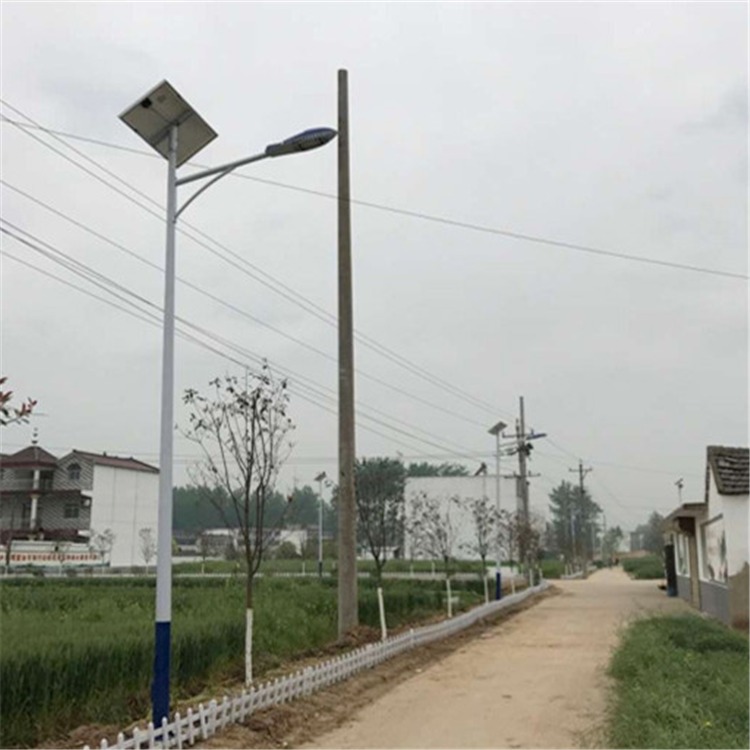 晟迪照明 生产太阳能路灯 市电路灯 景观灯 庭院灯 6米太阳能路灯 路灯生产厂家