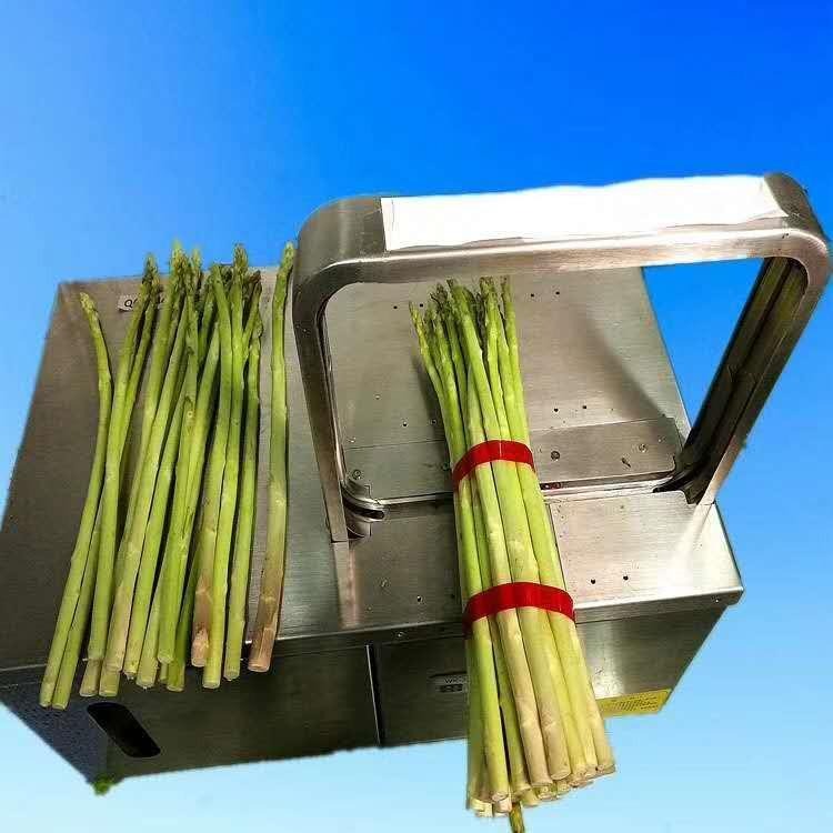 供应电动蔬菜捆扎机 多功能小型食品扎捆机 全自动OPP热熔小型束带机