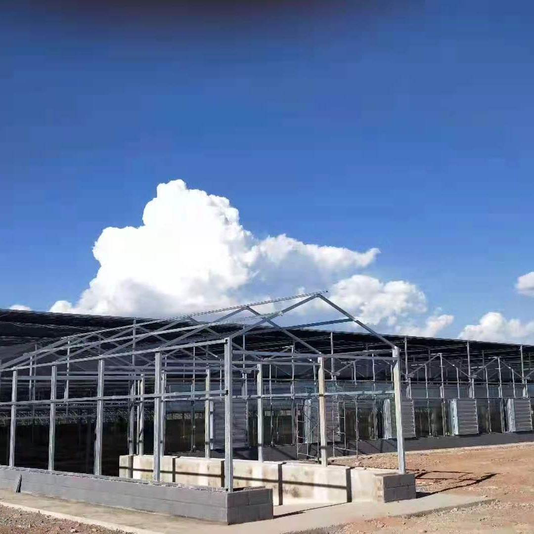 鑫泽 文洛型温室建设 尖顶玻璃温室 智能玻璃大棚造价 操作方便温度可控制图片