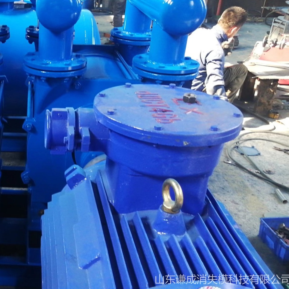 批发定制消失模真空泵 真空负压系统水循环真空泵 铸造厂用55KWQC