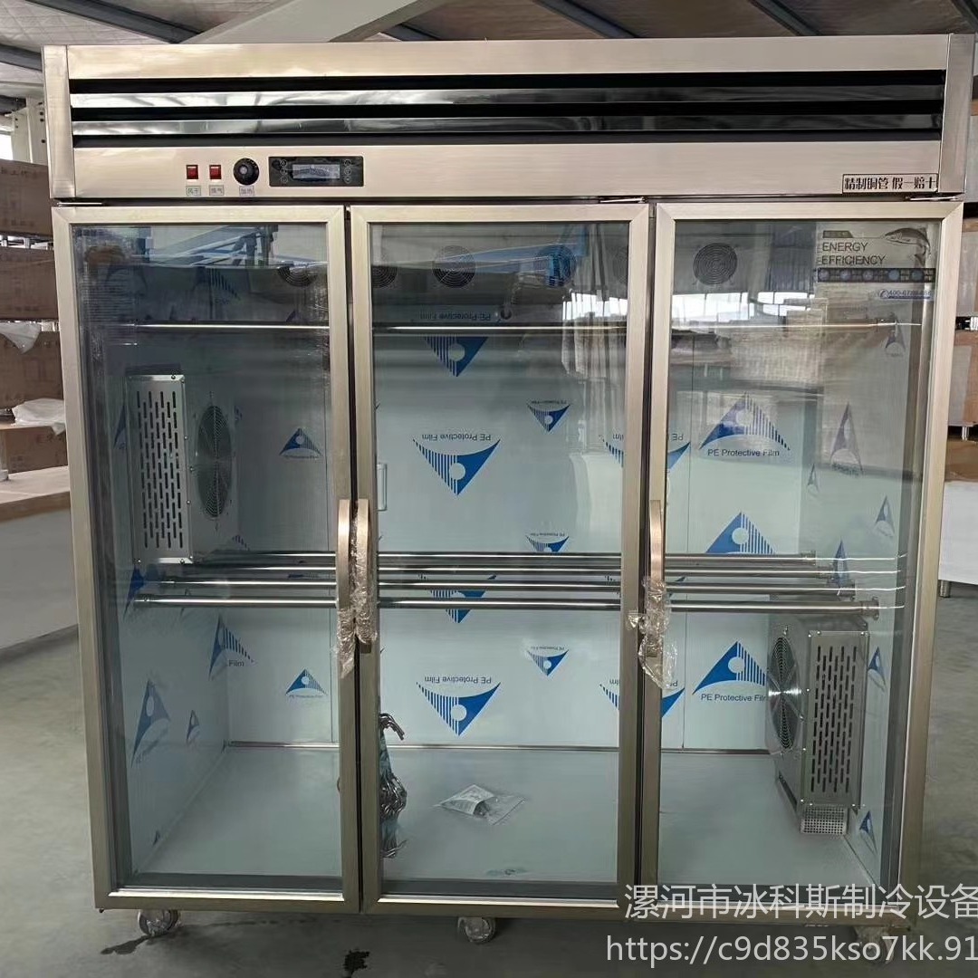未来雪WLX-LYG-14晾鸭柜特点 风冷晾胚柜  常规款双门晾鸭柜烤鸭、烧鹅、乳鸽风干柜烤鸭晾胚展示柜 烧腊除湿机图片