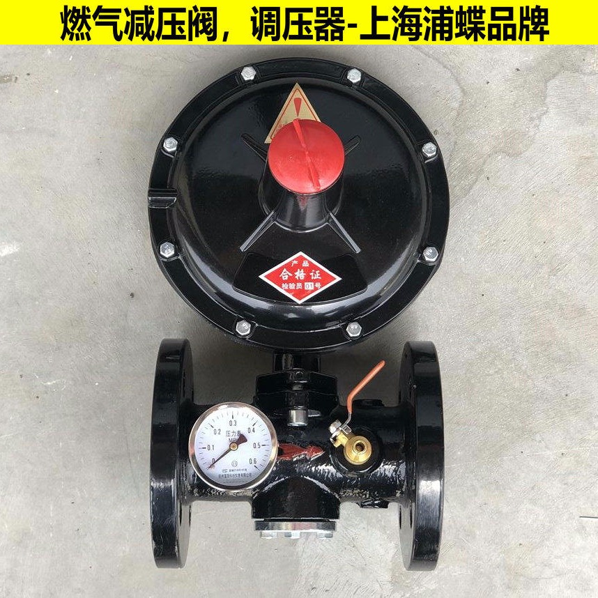 RTZ-FQ燃气调压器 上海浦蝶品牌图片