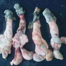 厂家直销各种驴肉产品 新鲜冷冻驴鞭 原生态营养驴鞭批发