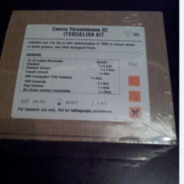 ELISA试剂盒 大鼠血栓素B2(TXB2)ELISA试剂盒 慧嘉生物