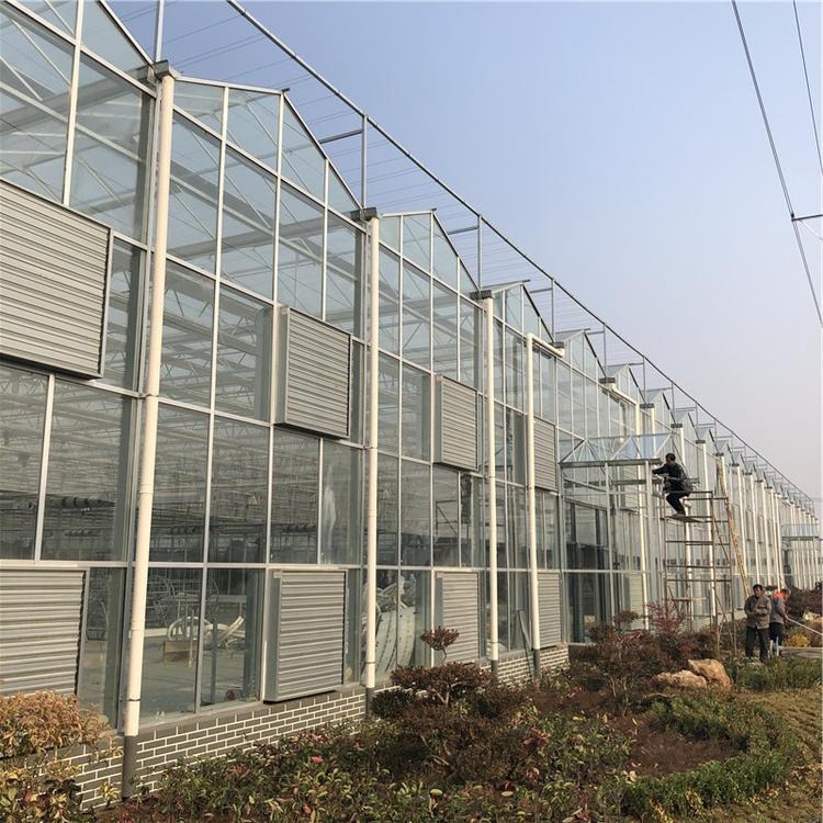 蔬菜玻璃温室 连栋玻璃温室 智能玻璃温室建造