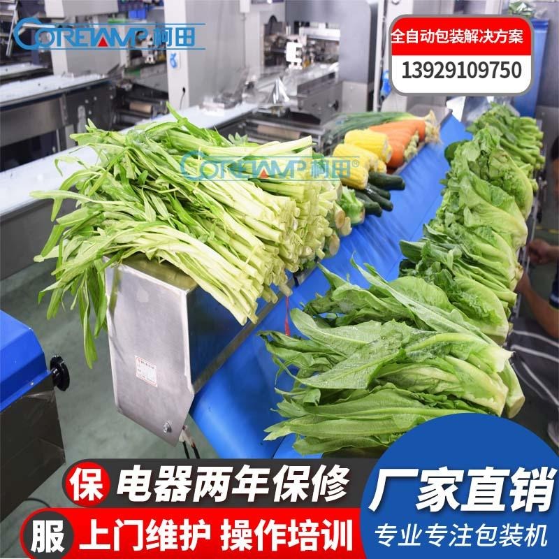 自动感应袋勤菜包装机  枕式伺服蔬菜贴标机 厂家直供包邮
