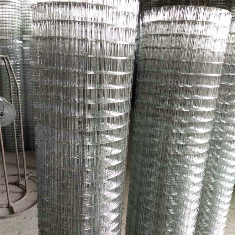 兴运丝网 镀锌铁丝网 养殖电焊网 规格齐全