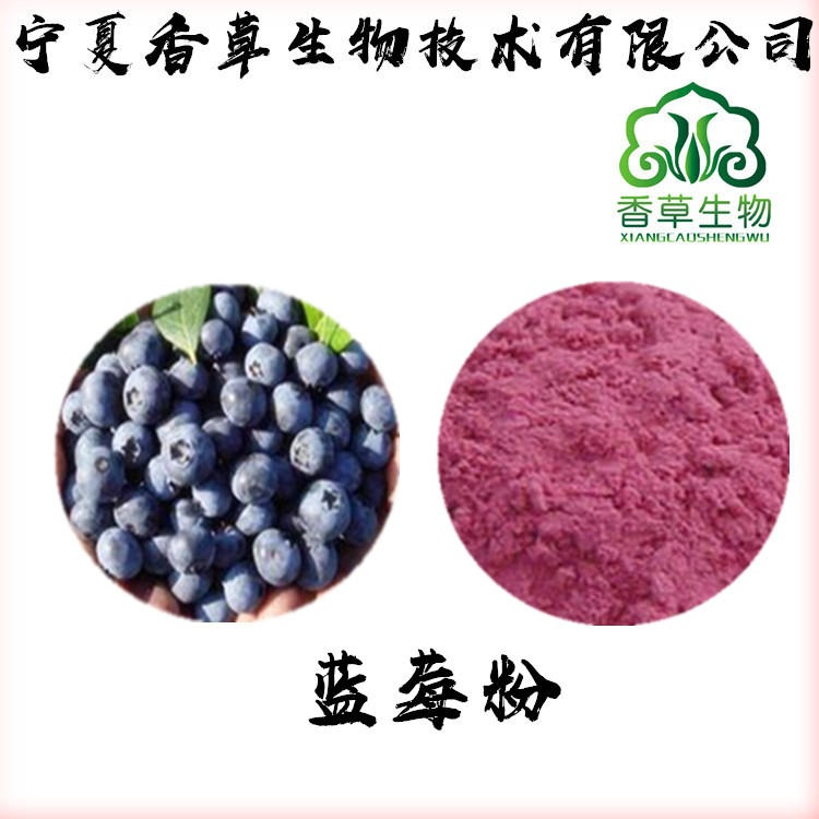 蓝莓粉 蓝莓汁粉 果粉 蓝莓提取物浓缩粉水溶图片