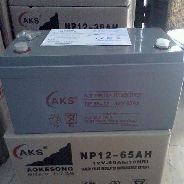 奥克松蓄电池NP65-12 UPS专用电池奥克松12V65AH 铅酸免维护电池