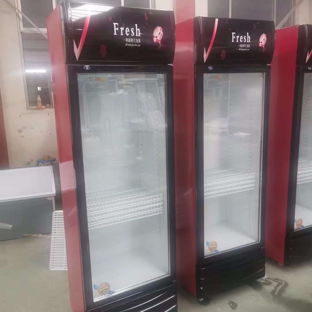 禹州市超市饮料柜 立式冰柜 冷藏展示柜未来雪冷柜 WLX-YLG61图片