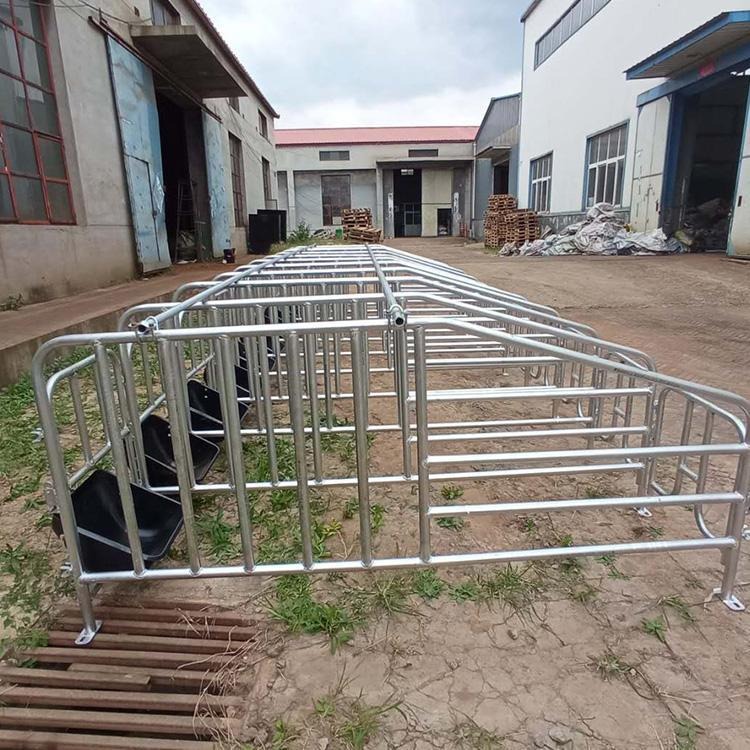 热镀锌母猪限位栏 爱达定制母猪限位栏供应 养猪定位栏