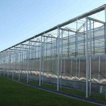 水产玻璃温室   跨度12米玻璃温室大棚    微型玻璃温室    博伟