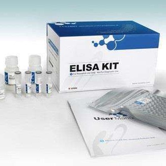 人白介素1β试剂盒 IL-1β试剂盒 白介素1βELISA试剂盒图片
