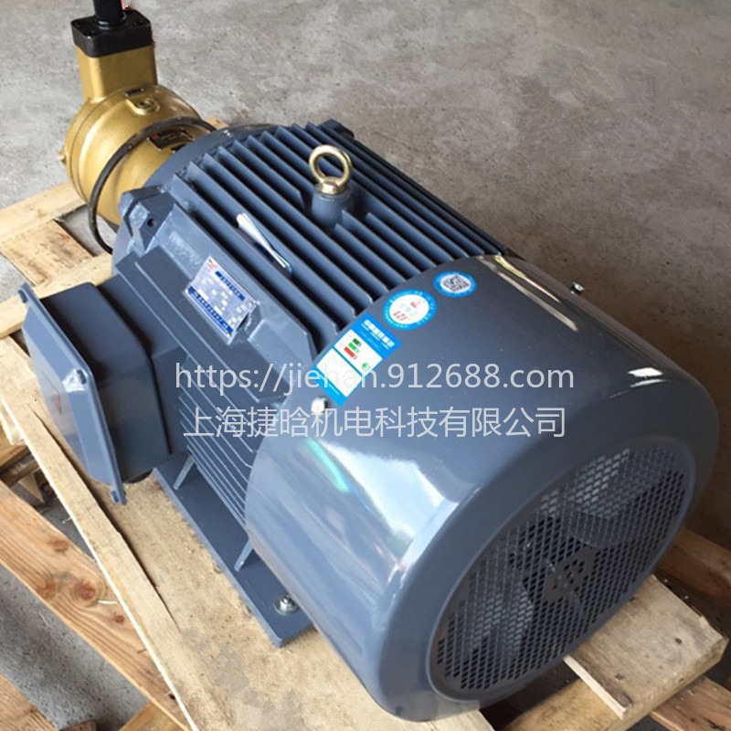 YQB160M-4油泵电机11KW 可直连CB-B CY柱塞泵内轴式液压电机