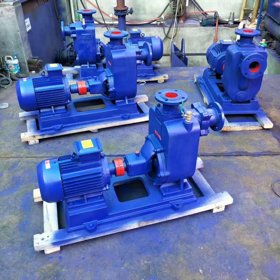 江苏蓝升泵业50ZX12.5-50自吸式离心泵  50ZXL12.5-50直联式自吸泵 ZXPB不锈钢防爆自吸泵