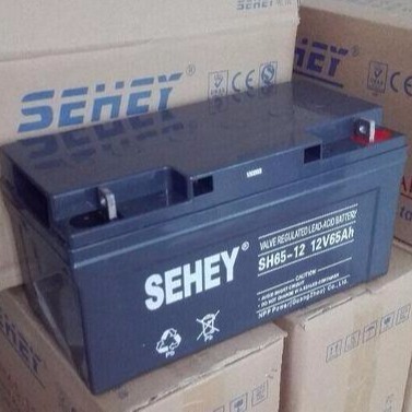 西力蓄电池12V65AH SEHEY 西力SH65-12 UPS EPS太阳能免维护专用电池 现货供应