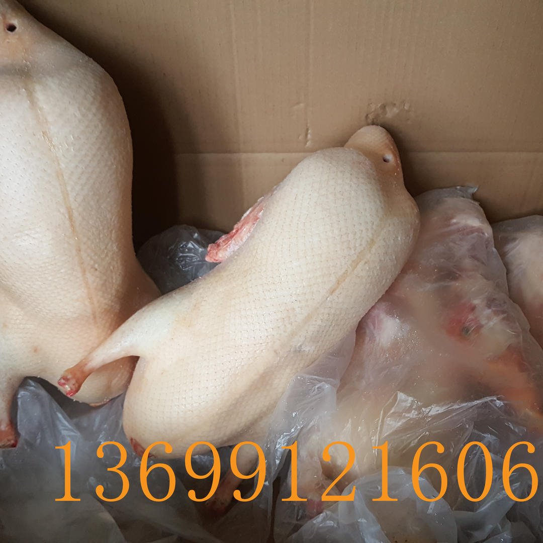 北京烤鸭坯直供四系鸭胚4.0-4.2斤填鸭