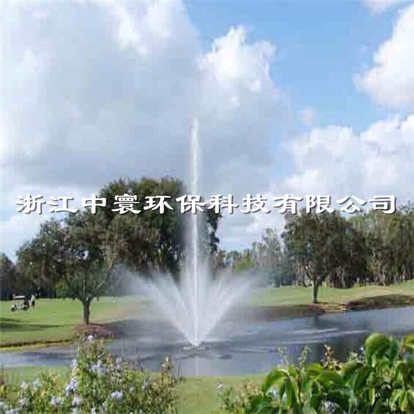 中寰环保河道治理增氧提升喷泉曝气机景观式曝气机增氧机