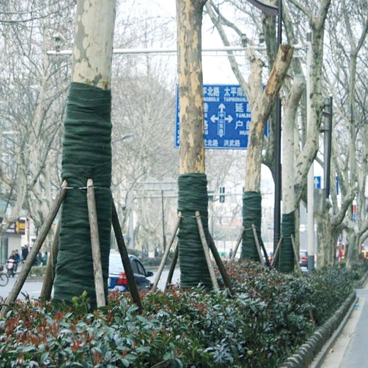 绿化植物护树宝 道路大树防寒包裹材料 绿化工程缠树布 一匡厂家报价