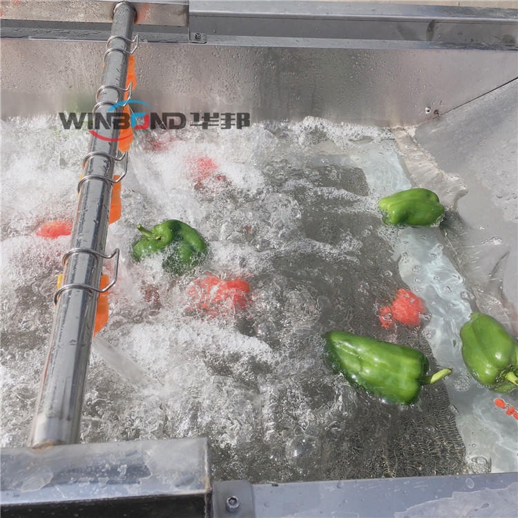 洗菜机 洗芹菜设备 华邦蔬菜气泡清洗机  QCQX-气泡图片