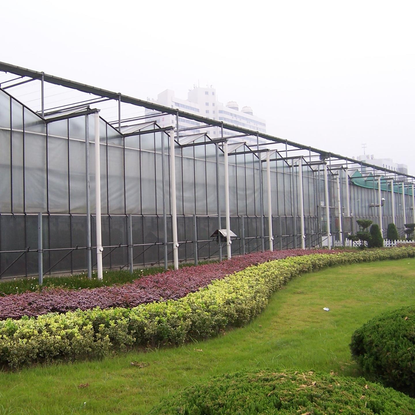 博伟 玻璃温室 养殖玻璃温室 直销蔬菜玻璃温室