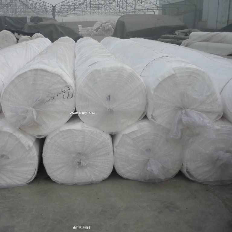 鼎诺厂家生产长丝土工布鼎诺丙纶土工布鼎诺编织土工布鼎诺短纤土工布大量批发销售