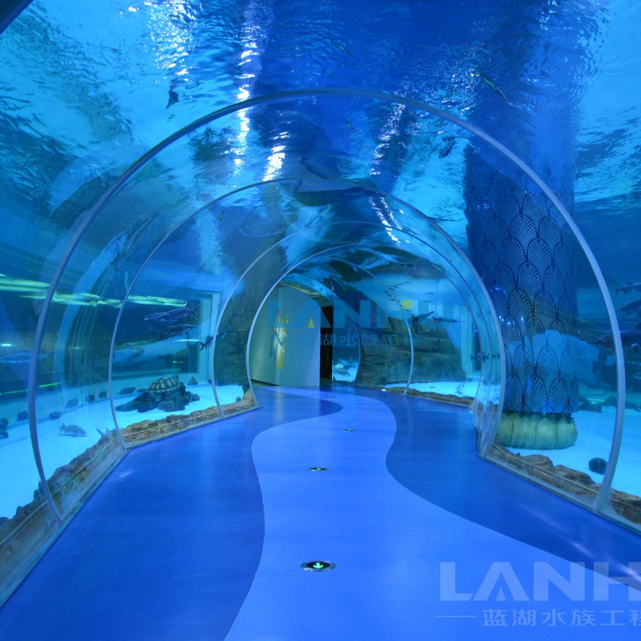 lanhu上海厂家 海洋馆设计施工 定制大型海洋餐厅亚克力鱼缸设计 海底隧道