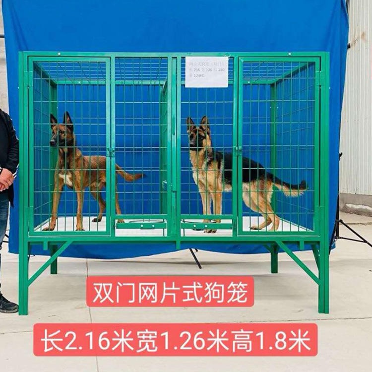 黑龙江双门狗笼子 中型大型犬笼 德牧马犬专用笼 犬舍狗场用狗笼子厂家 尊迈供应