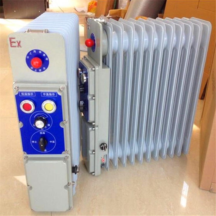 佳硕矿用防爆电暖器 RB-2000/127(A)防爆电暖器 安全防爆矿用电暖器