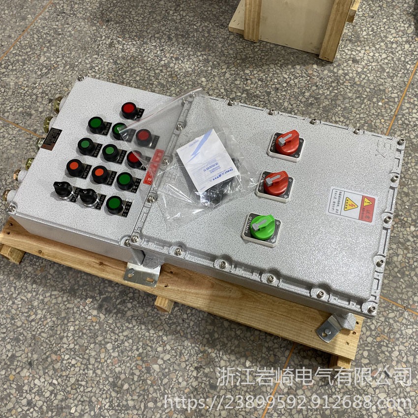 岩崎电气  防爆配电装置 BMX防爆动力照明箱 定制加工防爆配电装置图片