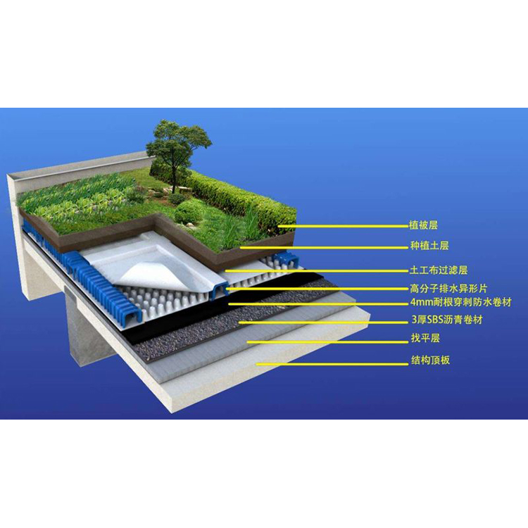 虹吸排水系统 防护虹吸排水板厂家 排水板