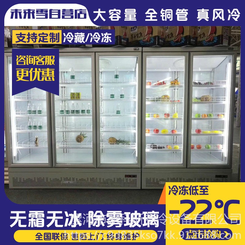 冰科斯-WLX-LSLD-07超市饺子冷冻柜 立式冷柜 饺子冷藏柜 保鲜柜 玻璃门冷冻食品冰柜图片