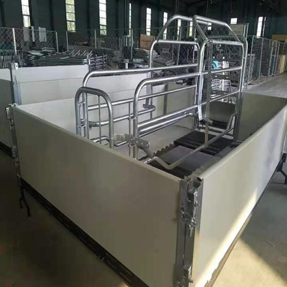 世昌畜牧 CH-1新型欧式母猪产床 欧式猪用产床厂家 单体欧式产床图片