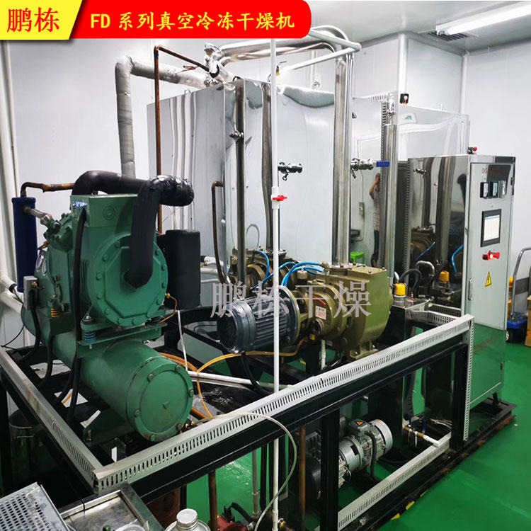 厂家专业生产 虾皮真空干燥机 即食虾米真空冷冻干燥机设备图片