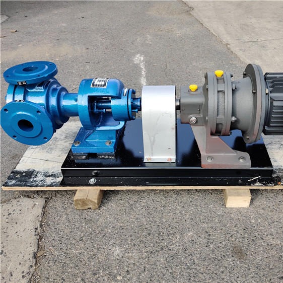 高粘度齿轮泵 高粘度乳液泵 NYP10/1.0高粘度电动泵