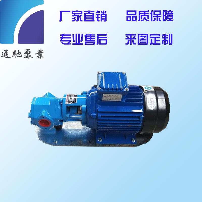 厂家直销wcb齿轮油泵铸铁便携式手提微型齿轮泵 wcb-75手提泵
