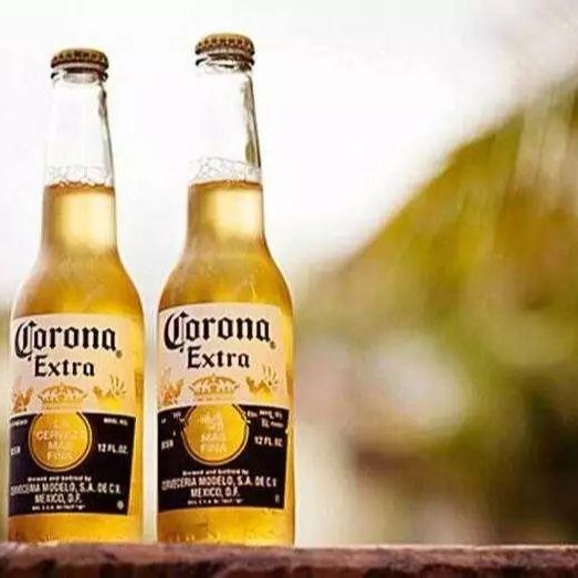011CORONA/墨西哥风味科罗娜啤酒330/科罗娜啤酒批发图片