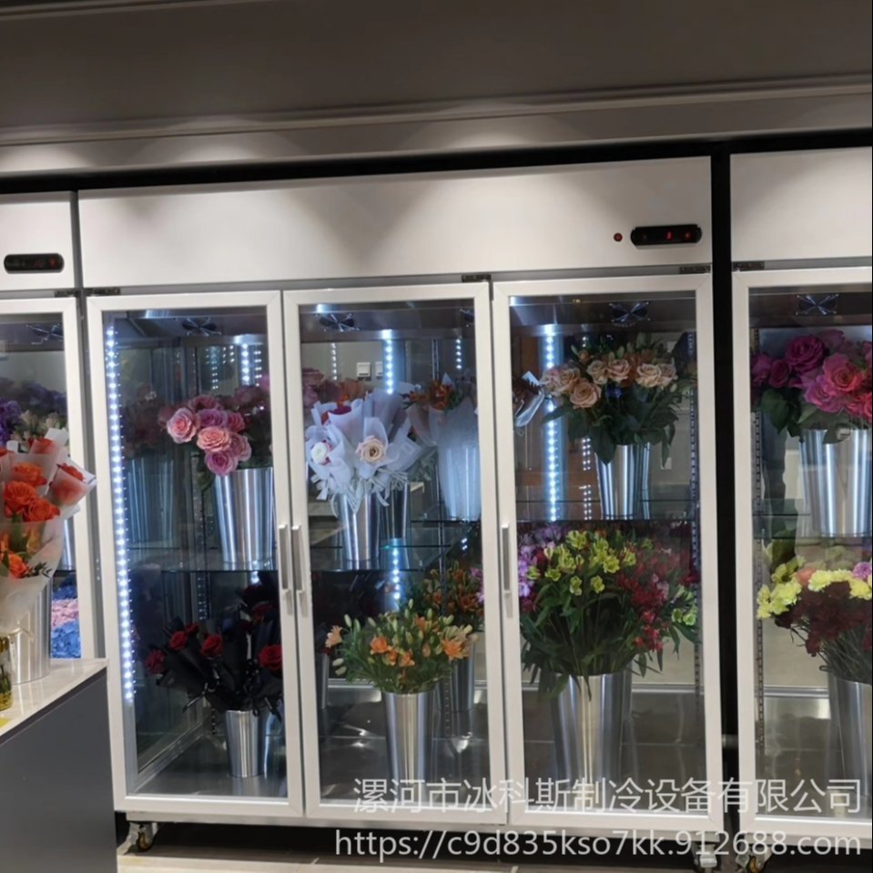 汕头直供鲜花保鲜柜 供应鲜花保鲜柜 鲜花保鲜柜价格厂家直销 支持定制 未来雪冷柜定制  WLX-XH-49图片