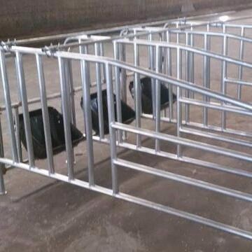 世昌畜牧 猪用保胎栏 定位栏厂家直销  限位栏