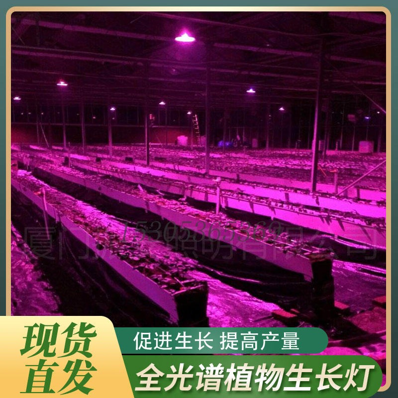 产地货源LED植物生长灯  温室大棚种植育苗专用 全光谱草莓多肉补光灯 量大从优