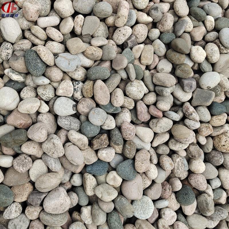 上海厂家供应  园林蜡黄石  花盆卵石 人工挑拣卵石  品质可靠