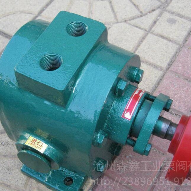 森鑫生产沥青泵 RCB12/0.8保温沥青泵 乳化沥青保温泵 齿轮泵图片