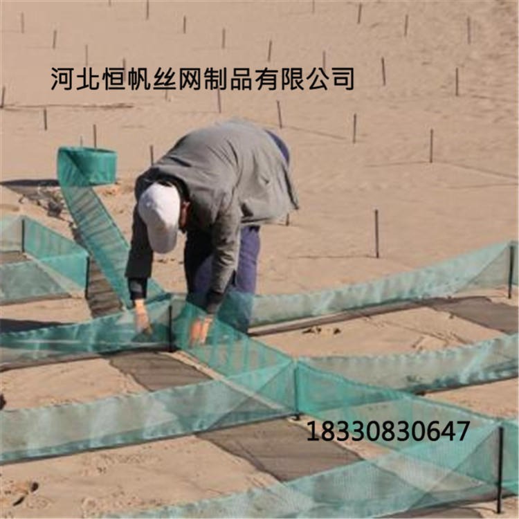 西藏戈壁沙丘防沙网  HDPE防沙网立柱 尼龙阻沙网压沙障  恒帆防风固沙网塑料立柱图片