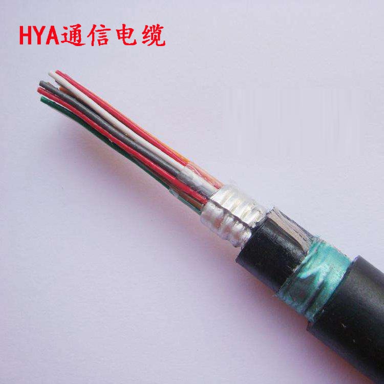 HYA22电缆 HYA23铠装通信电缆 天联牌 HYA23地埋铠装通信电缆