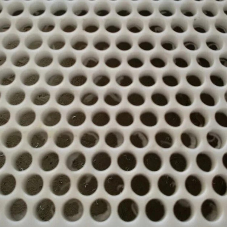 山西晋城聚氯乙烯pvc塑料板筛网 黑色塑料板圆孔洞洞板 pp多孔板定制